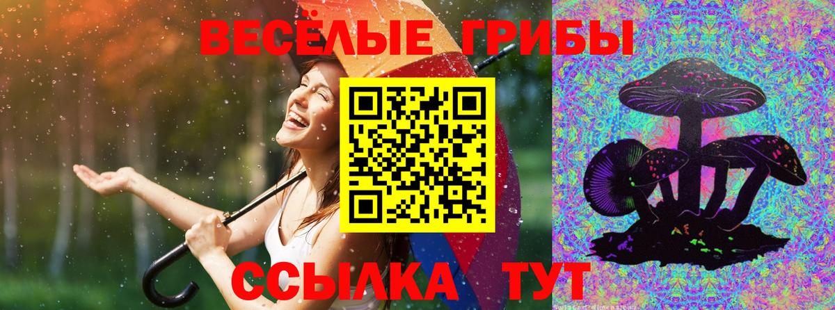 Галлюциногенные грибы Cubensis Трёхгорный