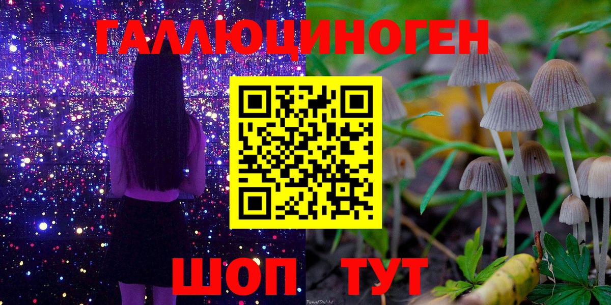 Псилоцибиновые грибы ЛСД  Псилоцибиновые грибы ЛСД  Трёхгорный  как найти наркотики  Вход с VPN 